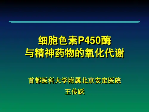 细胞色素P450酶讲解