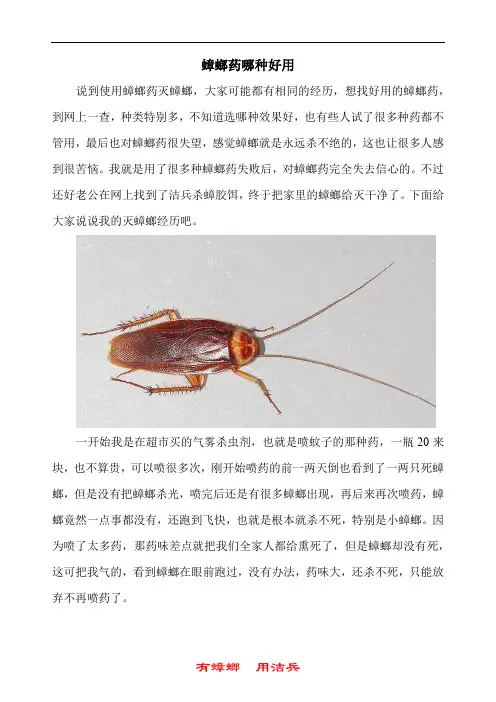 蟑螂药哪种好用 灭蟑螂药膏哪个牌子安全