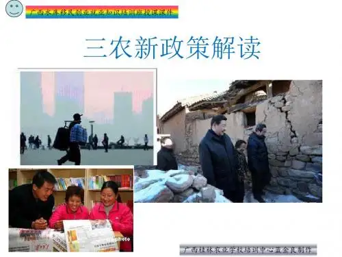 三农新政策解读