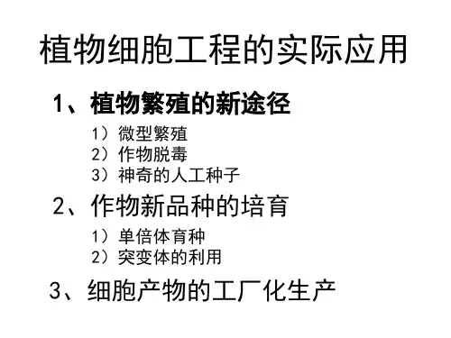 2.1.3 植物细胞工程的实际应用