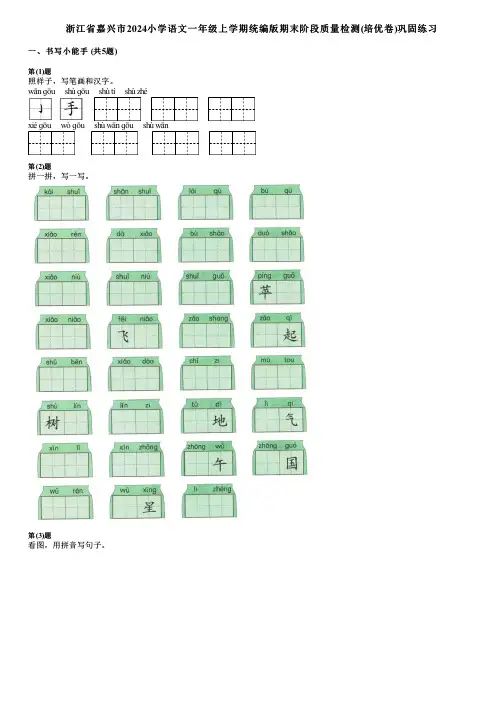 浙江省嘉兴市2024小学语文一年级上学期统编版期末阶段质量检测(培优卷)巩固练习