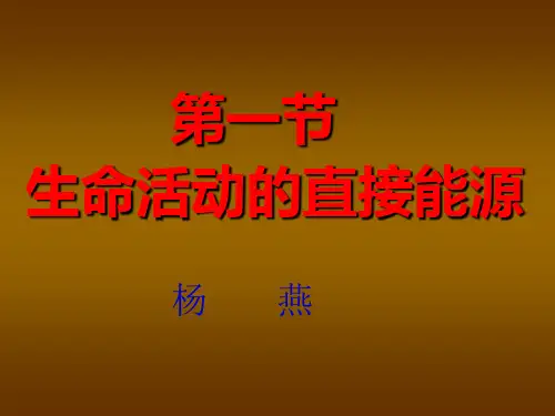 生命活动的直接能源