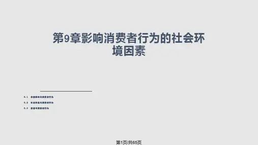消费者行为学影响消费者行为的社会环境因素分析PPT课件
