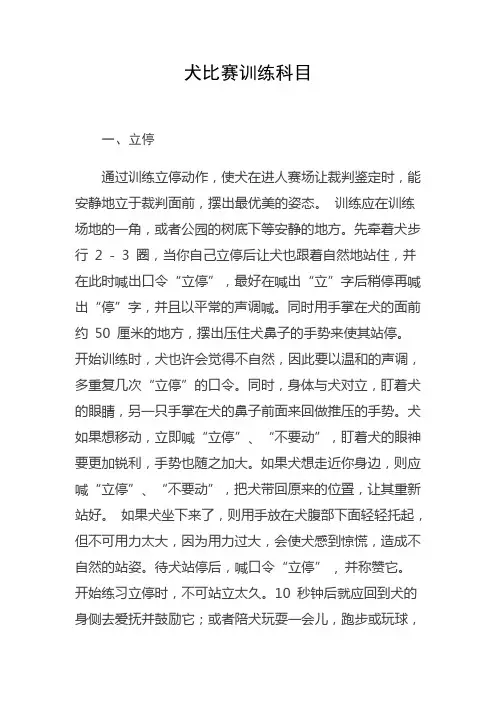 犬比赛训练科目