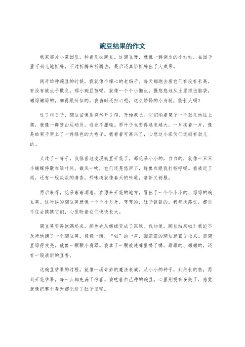 豌豆结果的作文