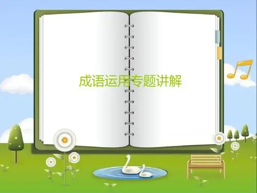 成语运用专题讲解