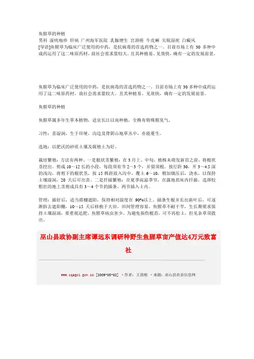 鱼腥草的种植