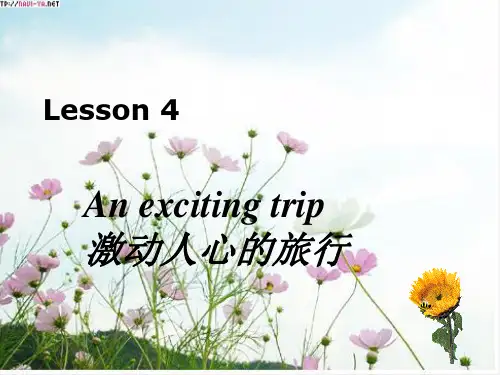新概念第二册lesson4(共17张PPT)