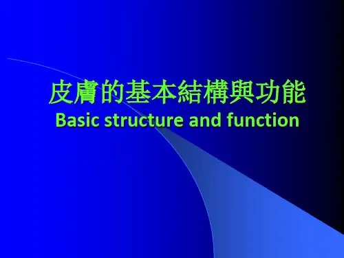 皮肤的解剖与生理功能课件