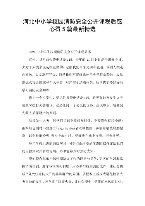 河北中小学校园消防安全公开课观后感心得5篇最新精选