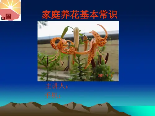 室内花卉养护技术精品PPT课件