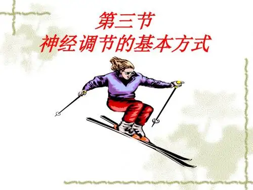 人教版七年级下册生物课件 6.3神经调节的基本方法 (共43张PPT)