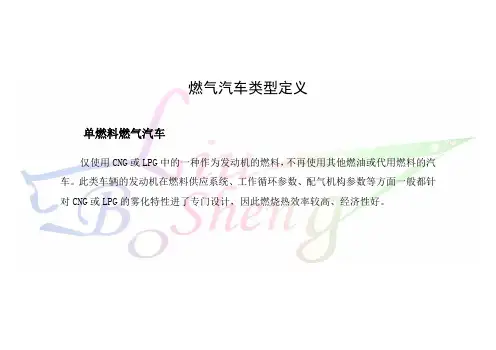 燃气汽车类型定义