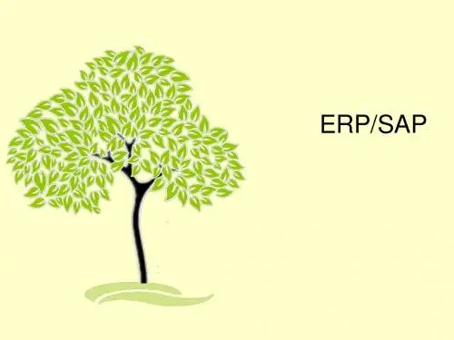 SAP Introduction
