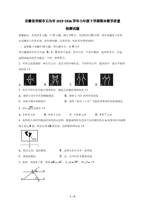 安徽省芜湖市无为市2023-2024学年七年级下学期期末数学质量检测试题(附答案)