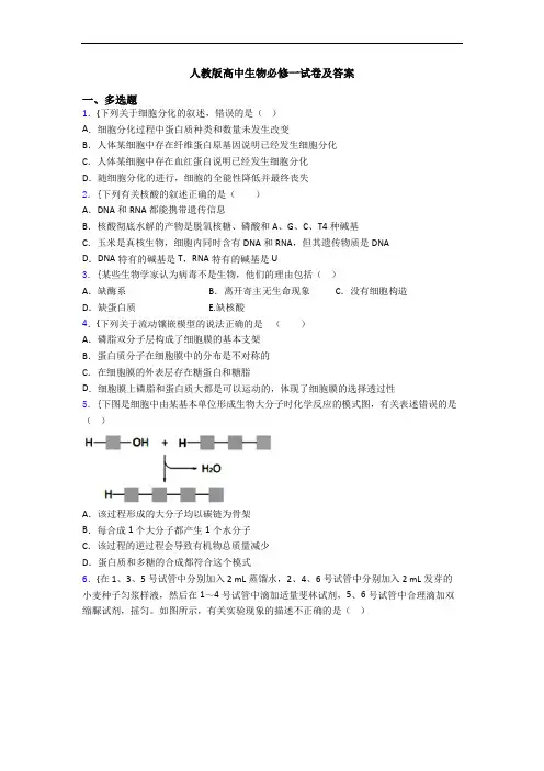 人教版高中生物必修一试卷及答案