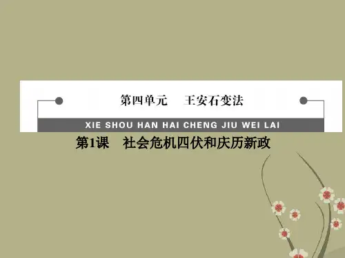 高中历史 4.1 社会危机四伏和庆历新政教学课件 新人教版选修1
