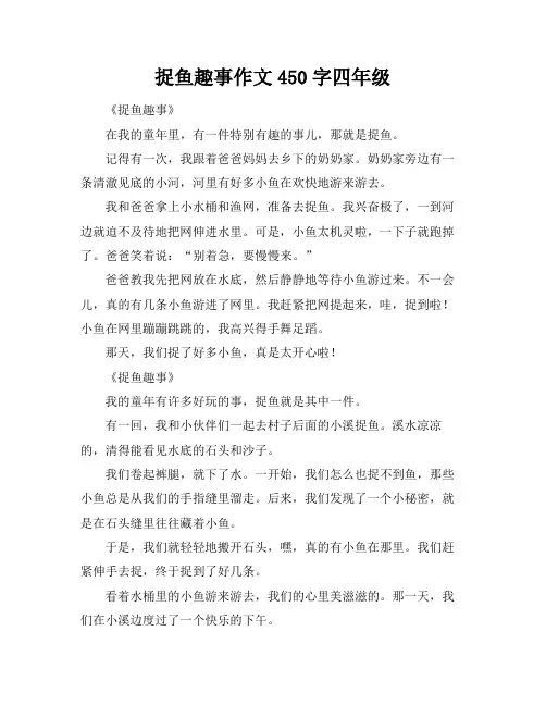 捉鱼趣事作文450字四年级