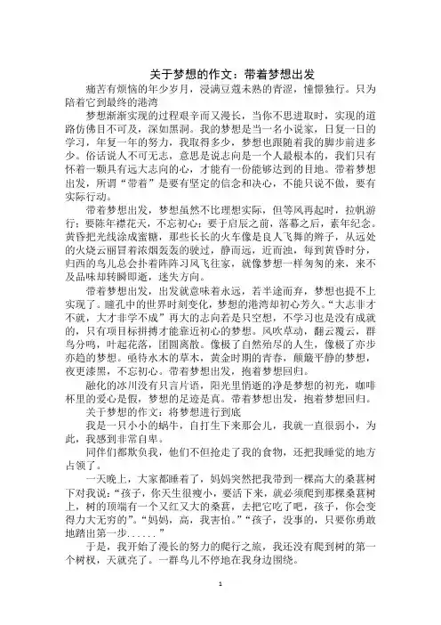 最新2020年中考作文素材600字：关于梦想范文示例