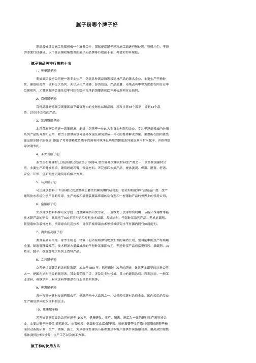 腻子粉哪个牌子好