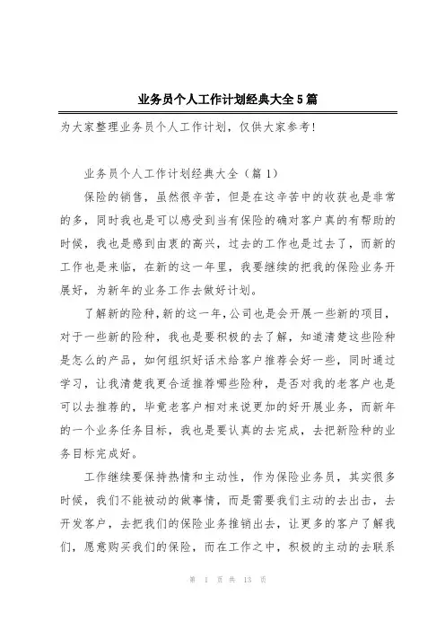业务员个人工作计划经典大全5篇