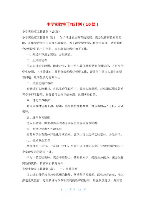 小学实验室工作计划(10篇)