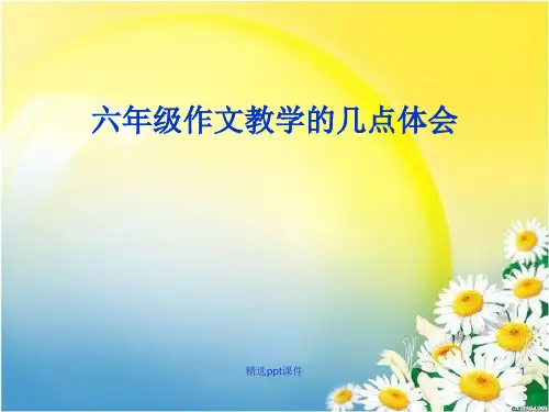 六年级习作教学交流材料PPT课件