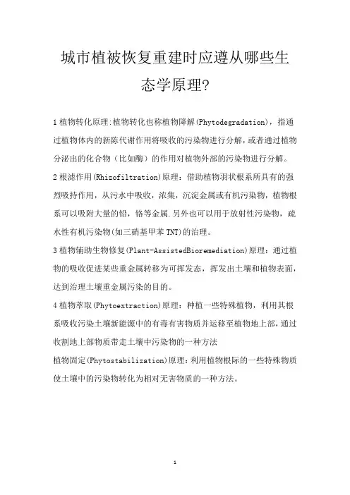 城市植被恢复重建时应遵从哪些生态学原理-