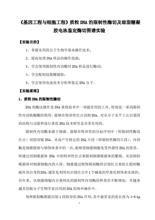 《基因工程与细胞工程》质粒DNA的限制性酶切及琼脂糖凝胶电泳鉴定酶切图谱实验