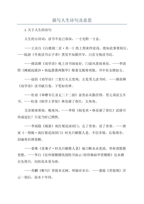 描写人生诗句及意思