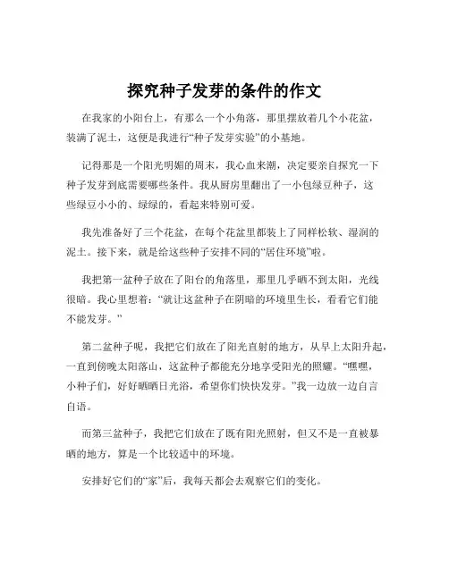 探究种子发芽的条件的作文