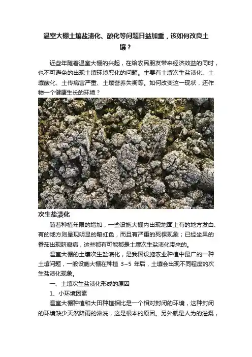 温室大棚土壤盐渍化、酸化等问题日益加重，该如何改良土壤？