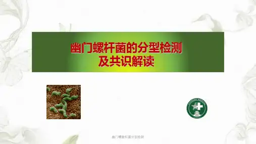 幽门螺旋杆菌分型检测ppt课件