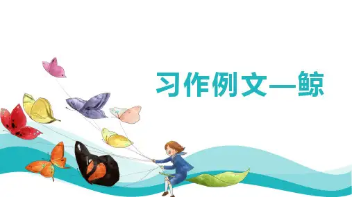 统编版语文五年级上册习作例文《鲸》课件