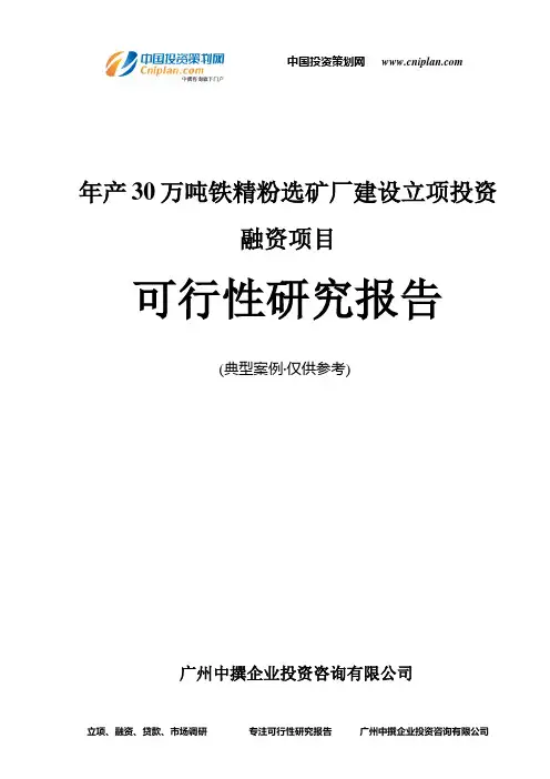 年产30万吨铁精粉选矿厂建设融资投资立项项目可行性研究报告(中撰咨询)