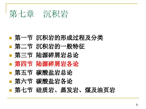地质学第六章4碎屑岩各论