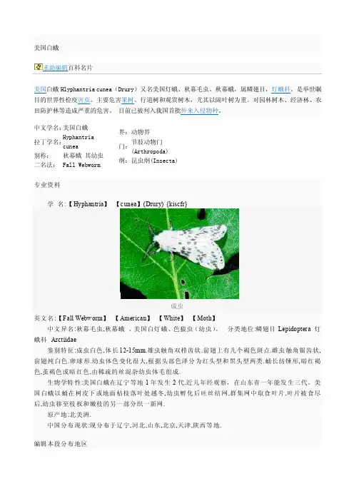 白蛾防治（2）
