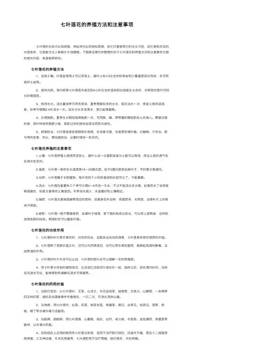 七叶莲花的养殖方法和注意事项