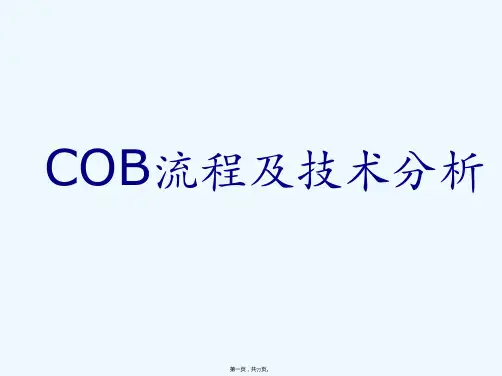 COB流程及技术分析专题讲座PPT