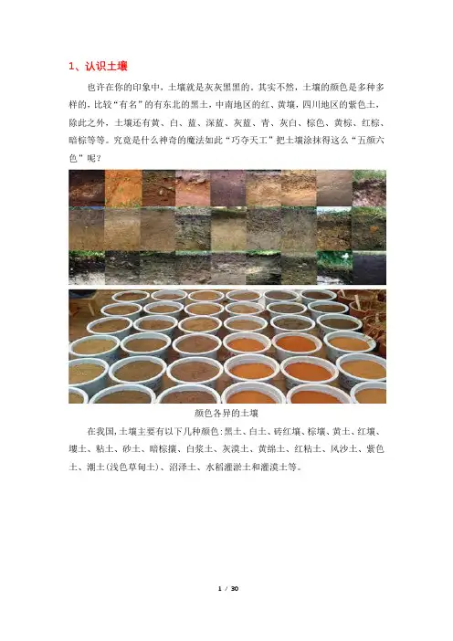 不同颜色的土壤
