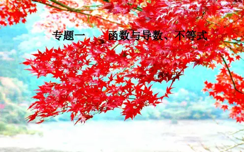 高考数学二轮复习 第二部分 专题一 函数与导数、不等式 第1讲 函数的图象与性质课件 文