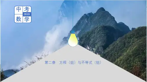 中考数学总复习第二章方程组与不等式组课件