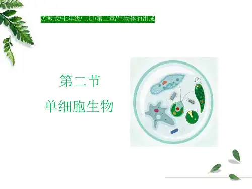 2.2++单细胞生物++课件-2024-2025学年苏教版生物七年级上册