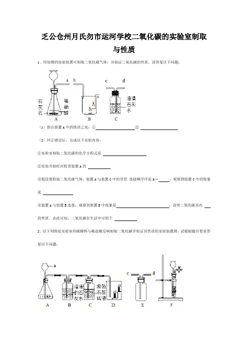 九年级化学上册 实验4(二氧化碳的实验室制取与性质)练习 试题