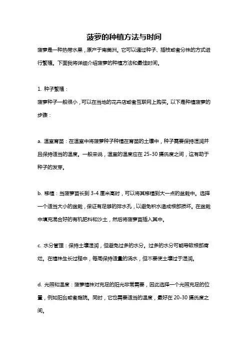菠萝的种植方法与时间