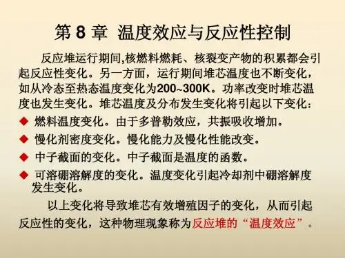 核反应堆物理分析 第8章
