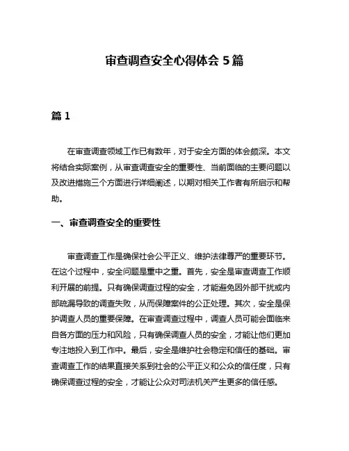 审查调查安全心得体会5篇
