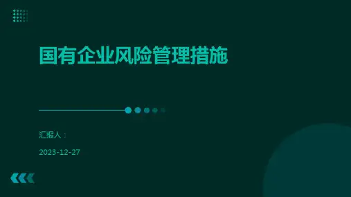 国有企业风险管理措施