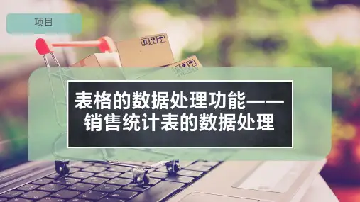 表格的数据处理功能——销售统计表的数据处理