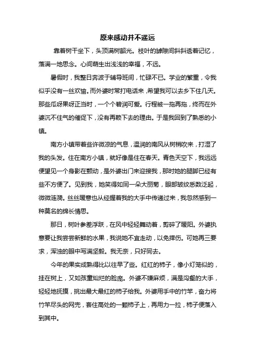 初三作文：原来感动并不遥远作文800字